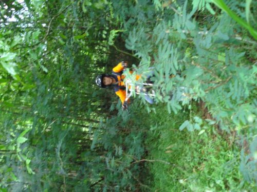 DSC09631_1